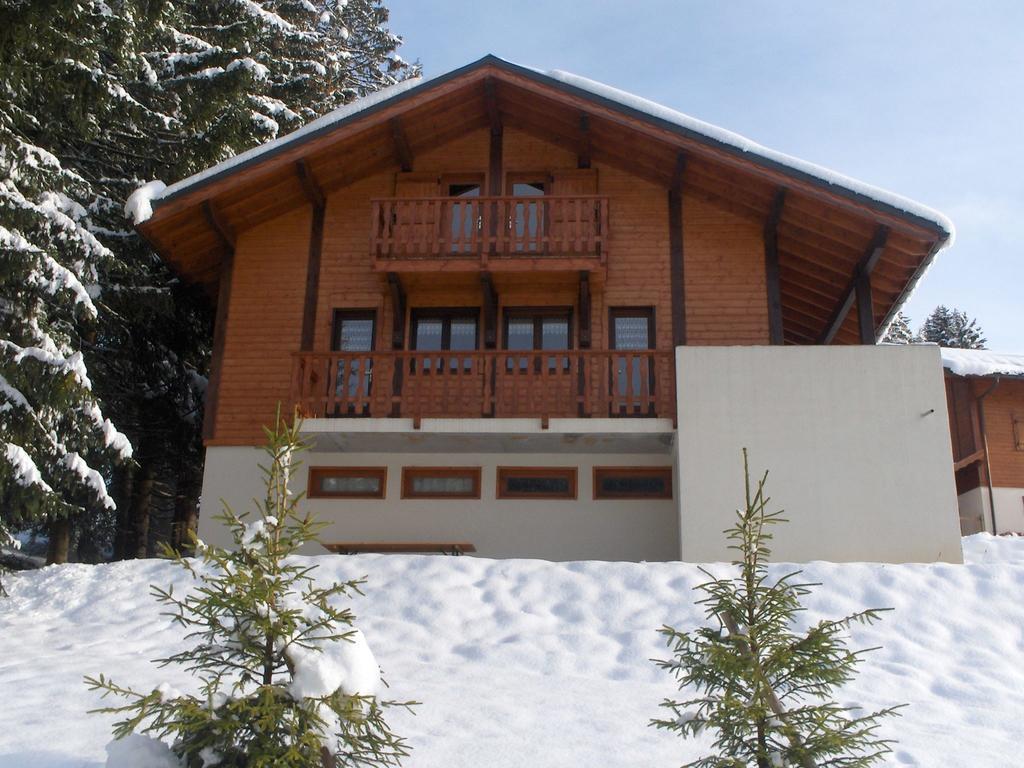 Magnificent Chalet On The Mountain Slopes Les Gets Exteriér fotografie