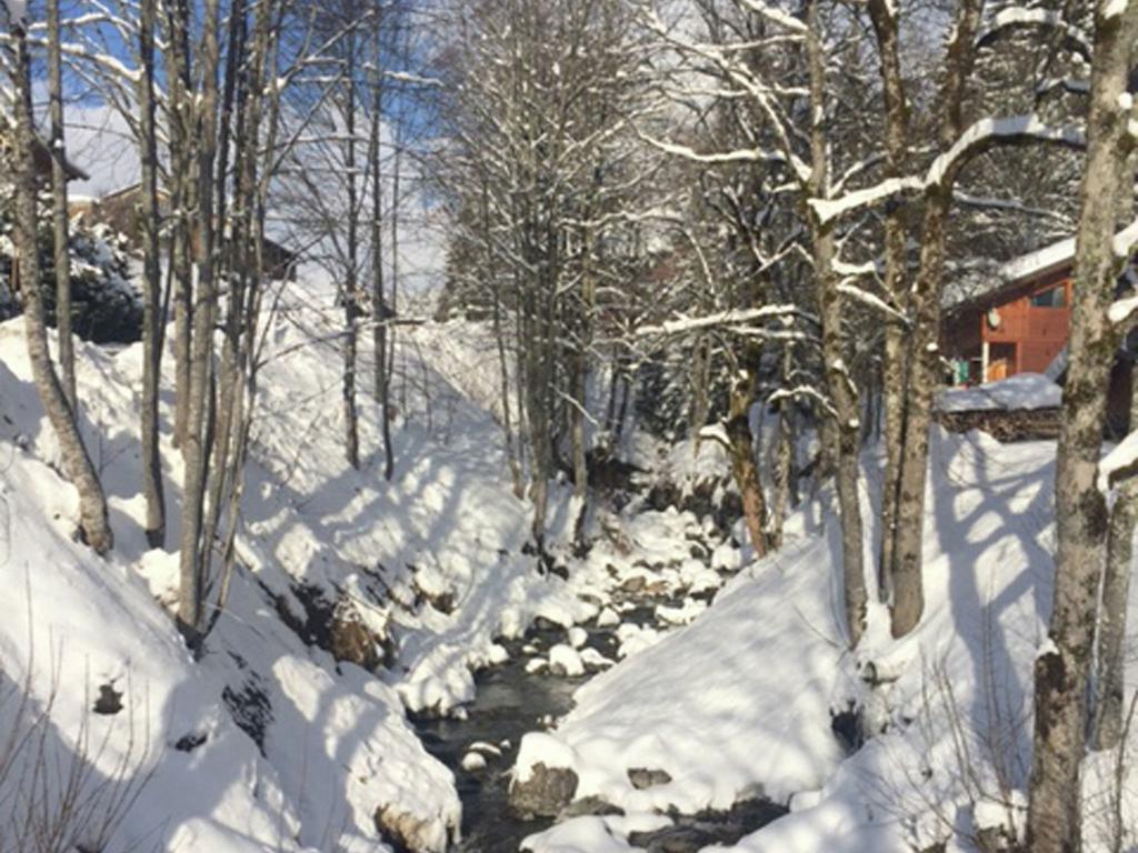 Magnificent Chalet On The Mountain Slopes Les Gets Exteriér fotografie