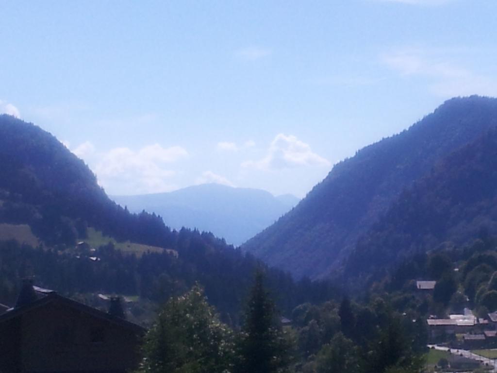 Magnificent Chalet On The Mountain Slopes Les Gets Exteriér fotografie