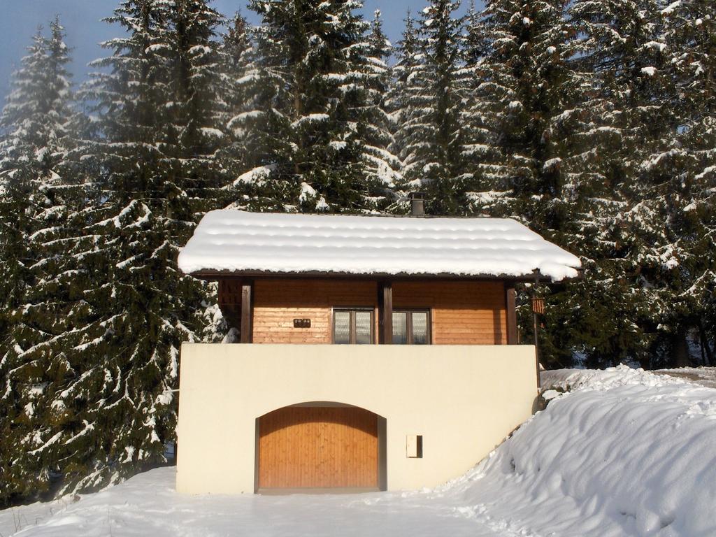 Magnificent Chalet On The Mountain Slopes Les Gets Exteriér fotografie